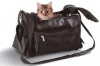 Thumbnail of How to Travel with Cats