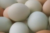 How Many Calories are in an Egg Thumbnail of How Many Calories are in an Egg