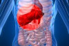 How to Cure Hepatitis B Naturally Thumbnail of How to Cure Hepatitis B Naturally