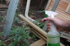 How to Make a Homemade Insecticide Thumbnail of How to Make a Homemade Insecticide