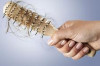 How to Stop Hair Fall Naturally Thumbnail of How to Stop Hair Fall Naturally