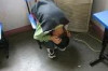 What are the Signs and Symptoms of Autism ? Thumbnail of What are the Signs and Symptoms of Autism ?