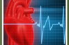 Best Exercises for Cardiovascular Health Thumbnail of Best Exercises for Cardiovascular Health