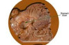 Best Medicine for Ulcers Thumbnail of Best Medicine for Ulcers