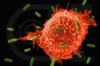 How to Prevent Blood Cancer Thumbnail of How to Prevent Blood Cancer