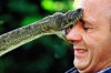 How to Treat Snake Bites Thumbnail of How to Treat Snake Bites
