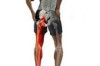 Stretches to Relieve Sciatica Pain Thumbnail of Stretches to Relieve Sciatica Pain