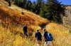 Safety Tips when Hiking Thumbnail of Safety Tips when Hiking