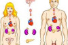 How to Cure Hormonal Imbalance Thumbnail of How to Cure Hormonal Imbalance