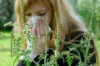 How to Treat Ragweed Allergy Thumbnail of How to Treat Ragweed Allergy