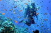 Best Places in the World to Scuba Dive Thumbnail of Best Places in the World to Scuba Dive