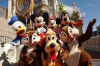 Best Time to Travel to Disney World Thumbnail of Best Time to Travel to Disney World