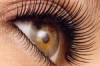 How to Grow Longer Eyelashes Naturally Thumbnail of How to Grow Longer Eyelashes Naturally