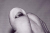 How to Treat Dead Nail Thumbnail of How to Treat Dead Nail