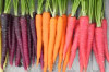 Thumbnail of Why Do You Have To Include Carrots In Your Diet