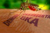 Thumbnail of Zika Virus Outbreak Climbs 82 in Singapore
