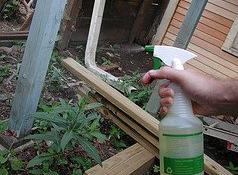 Make a Homemade Insecticide