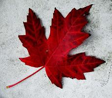 interesting facts about canada