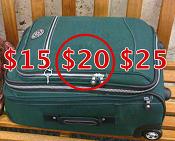 Avoid Airline Baggage Fees