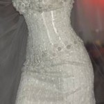 Diamond Wedding Dress cost 12 Million Dollars