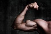 Workout for Biceps and Triceps