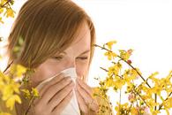 allergy treatments for adults