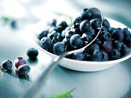 blueberries to lose weight