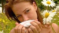 perfumes for allergy sufferer